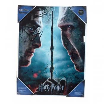 Harry Potter & Voldemort Acrylic Poster – Dark, 41 × 31 × 3 cm