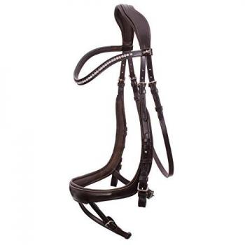 EquiBeta Schock Line