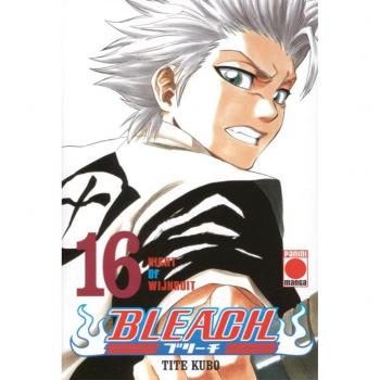 Bleach 16