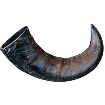 TRIXIE Bison‑Kauhorn – große, allergikerfreundliche Maulgeruchsbesteuerung