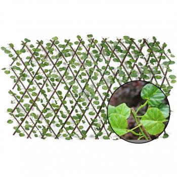 UV Protected Garden Fence
