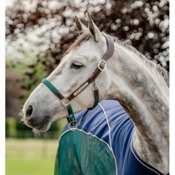 Tresse d'enceinte Signature Horseware