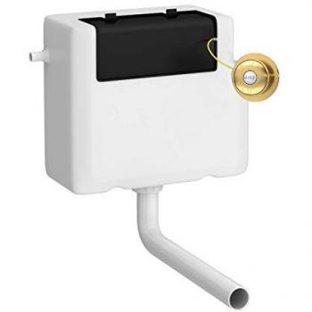 Nuie Concealed Cistern and Traditional Round Dual Flush Button | Brushed Brass | Plastic