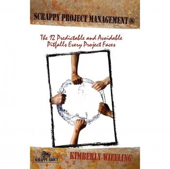 Happy About Scrappy Project Management