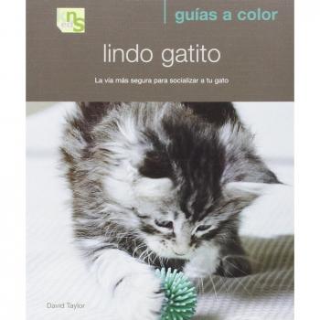 Lindo gatito