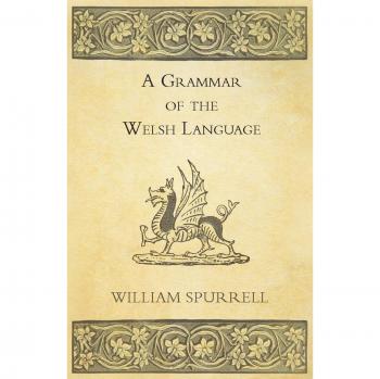 A Grammar Of The Welsh Language