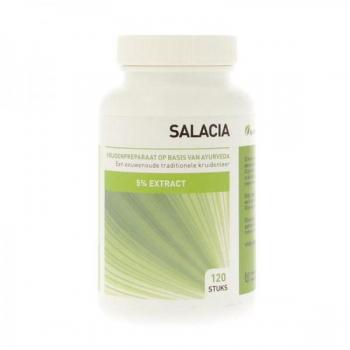 Ayurveda Health Salacia Oblonga 5% Saponinen Extract, 120 tabletten