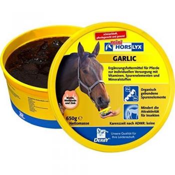 Knoblauch‑Leckmasse Horslyx 650 g