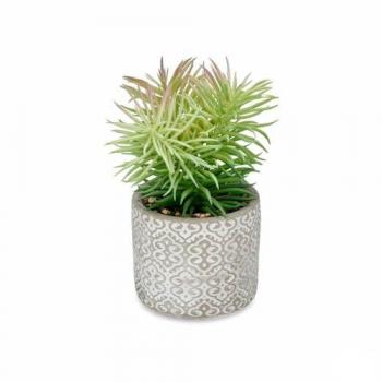 Polyethylene Succulent Trio (12x22x12 cm) – Ibergarden