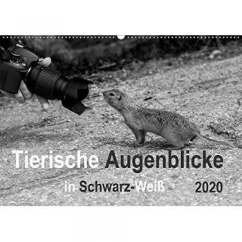 Tierische Augenblicke in Schwarz-Weiß