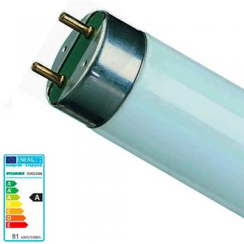 Sylvania 70W T8 6ft Deluxe Cool White Tube