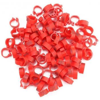 8mm Numbered Bird Leg Bands
