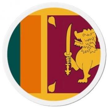 Bulk 8cm Multicolored Sri Lankan Round Magnets (50 Pieces)