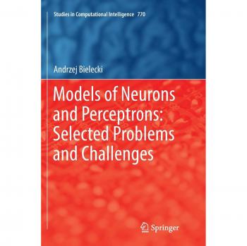 Models of Neurons and Perceptrons: Selected Problems and Challenges