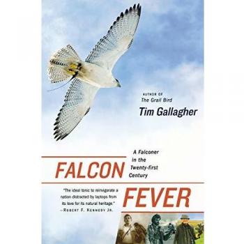 Falcon Fever