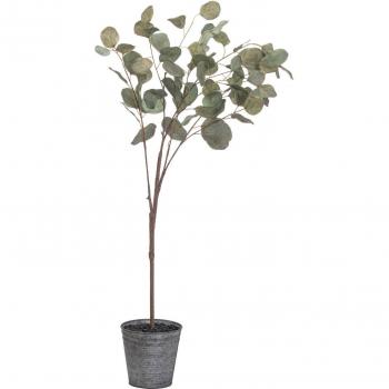 Eucalyptus Tree in Stylish Metallic Planter