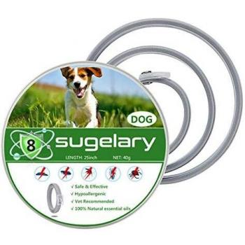 Collare Antipulci Sugelary per Cani di Grande, Medio e Piccolo Taglia