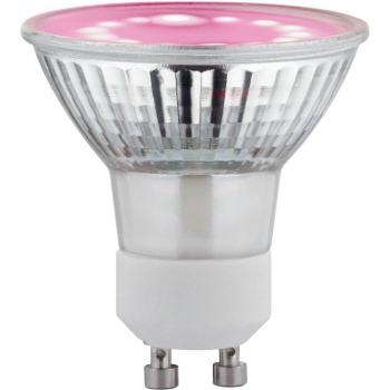 Paulmann Go Green GU10 3,5W LED-Wachstumslampe für Pflanzen