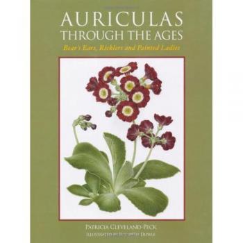 Auriculas Through The Ages: Bear'S Ears, Ricklers And Painted Ladies (Hardcover)