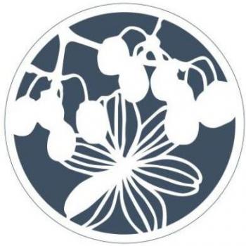 Round Flower Template Stencils