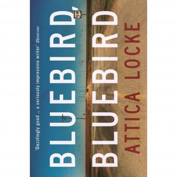 Bluebird, Bluebird