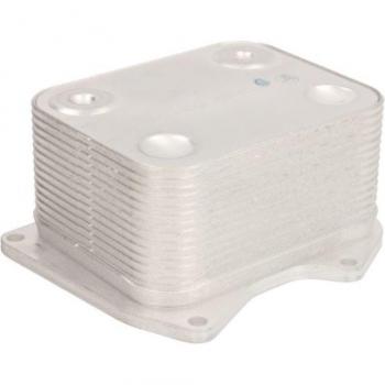Olio motore Radiatore Thermotec D4W013TT