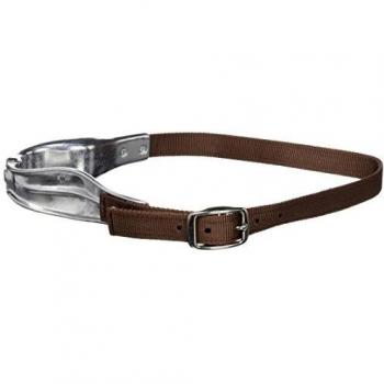 Bridle 004423-50-1 Brown