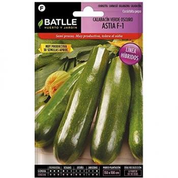 Semillas Hortícolas de Calabacín Astia F-1