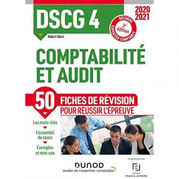 Dscg 4 Comptabilité Et Audit