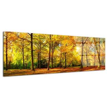 Art Murale Plexiglas Automne 150x60 cm