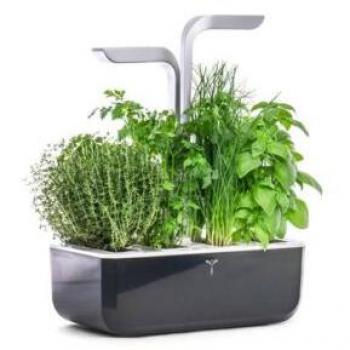 Potager d'Intérieur EXKY® SMART (Soft Black)