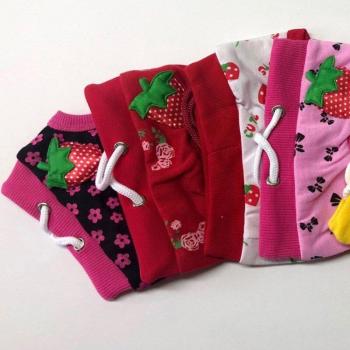Culotte courte pour chien de compagnie