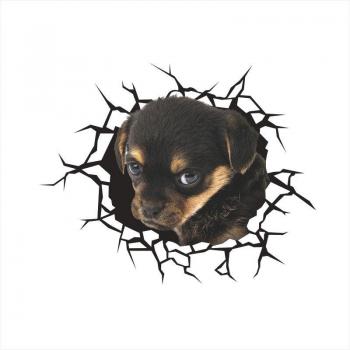 Vivid Dog Hole Wall Art Decals