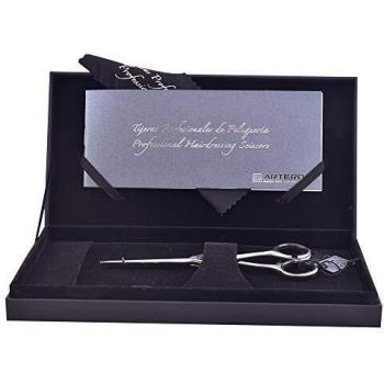Artero Exakta 5.5in Hairdressing Scissors