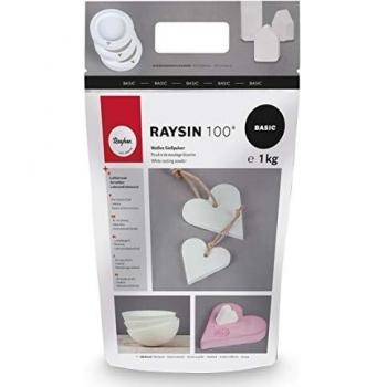 Raysin 100 Casting Material