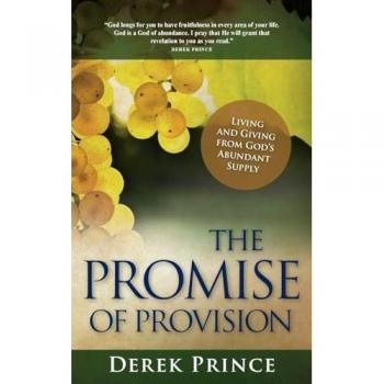 The Promise of Provision: Living and Giving from God's Abundant Supply