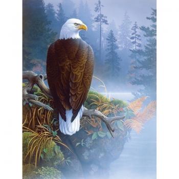 Diamond Eagle Crest Patterned Canvas