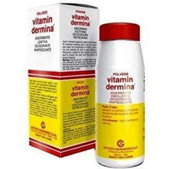Vitamindermina Polvere 100 G