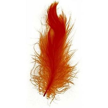 Plumes d'ornement 5-10 cm, boîte de 5 g