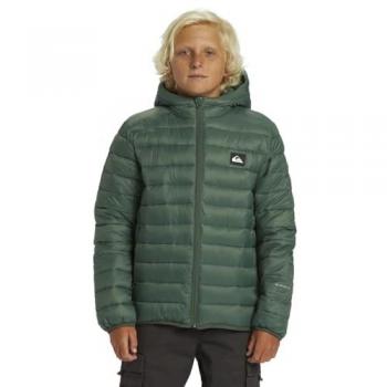 Chaqueta Quiksilver Scaly para Niños