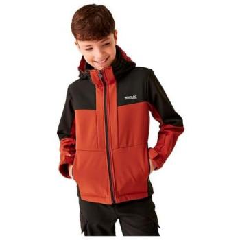 Chaqueta Outdoor Softshell Infantil Regatta Haydenbury II Verde