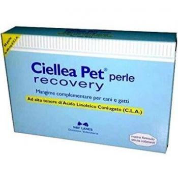 Ciellea pet 30 perle