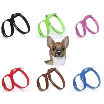 Youpet Colar Azul Elements 55/60 para Cães