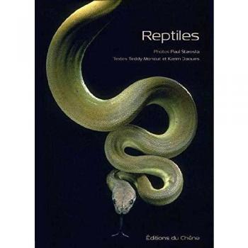 Reptiles : Écailles et sang-froid