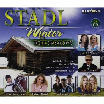 Stadl Winter,die Party