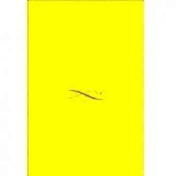 PERSPECTIVES DE LA LITERATURA ANGLESA