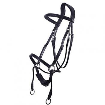 QHP Ceto Zaum ohne Gebiss