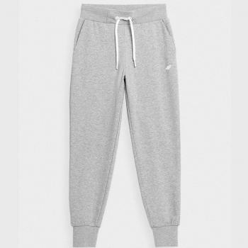 4F Jogginghose 4FSS23TTROF229 Grau Regular Fit