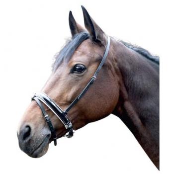 HKM 16 mm Stainless Steel Eggbutt Anatomic Snaffle – EU55 × 115 mm / UK55 × 4.5