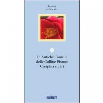 Le antiche camelie delle colline pisane: Crespina e Lari